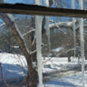 Meet your Posher, Ellen